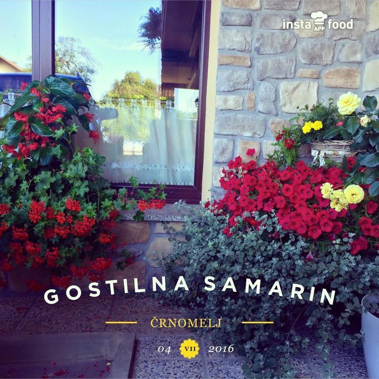 Hotel Samarin Črnomelj Εξωτερικό φωτογραφία
