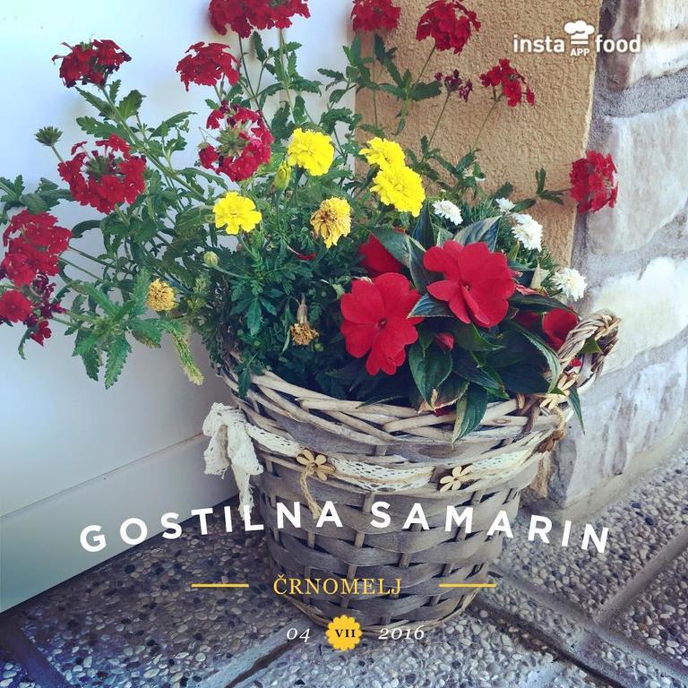 Hotel Samarin Črnomelj Εξωτερικό φωτογραφία