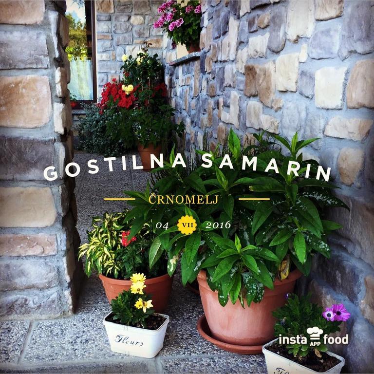 Hotel Samarin Črnomelj Εξωτερικό φωτογραφία